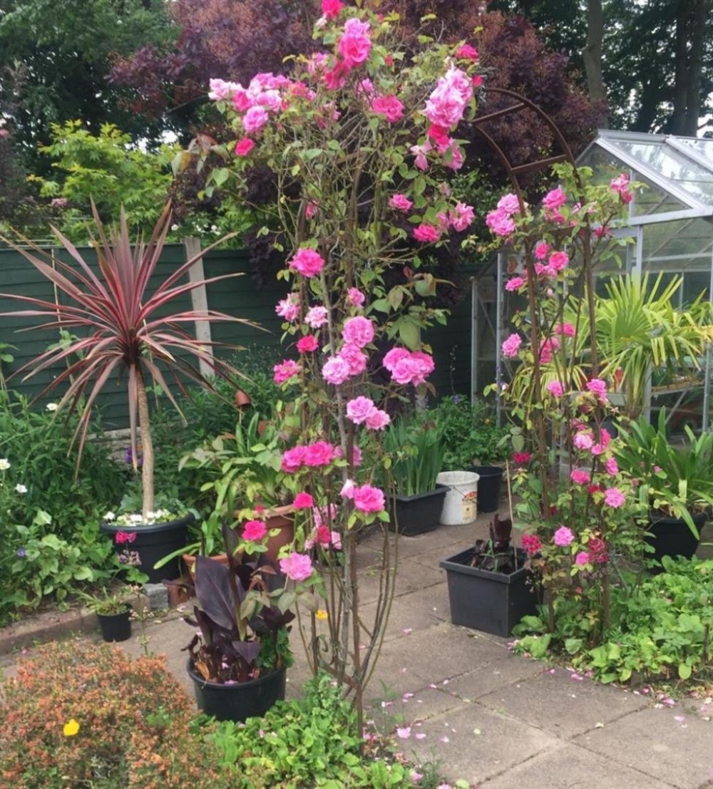 Images for Heyes Avenue, Rainford, St. Helens EAID:DavidDaviesAPI BID:3