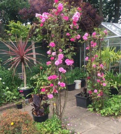 Images for Heyes Avenue, Rainford, St. Helens EAID:DavidDaviesAPI BID:3