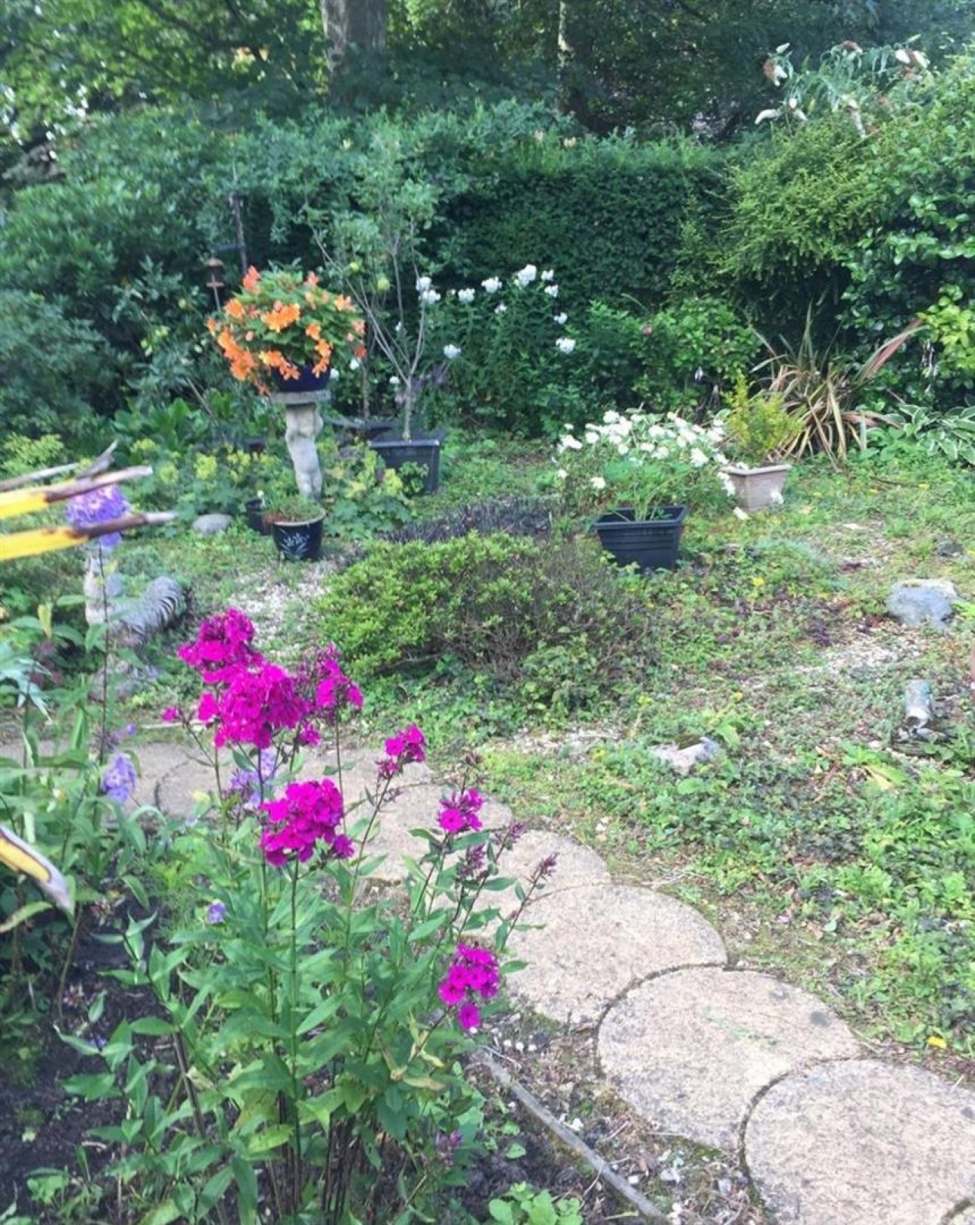 Images for Heyes Avenue, Rainford, St. Helens