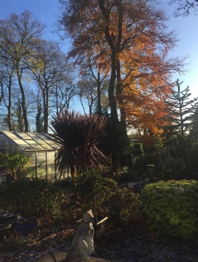 Images for Heyes Avenue, Rainford, St. Helens EAID:DavidDaviesAPI BID:3