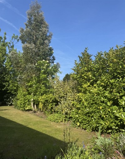 Images for Regal Drive, Windle, St Helens, WA10 6BJ EAID:DavidDaviesAPI BID:3