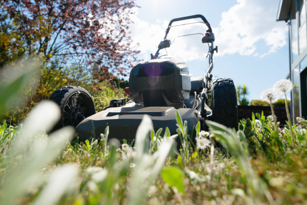 Low Maintenance Landscaping